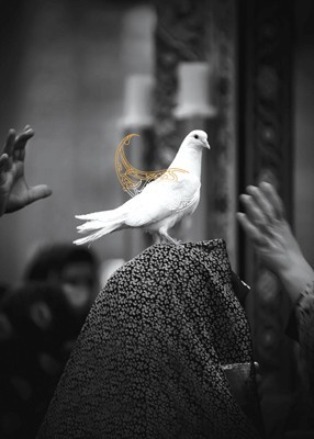 فراخوان اردوی سومین جشنواره عکس «خانه دوست»