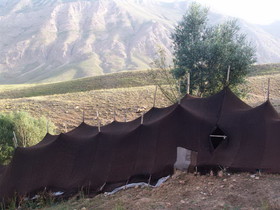 تبلور هنر هنرمندان محیطی در سیاهچادرها