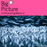 فراخوان رقابت عکاسی BigPicture Natural World