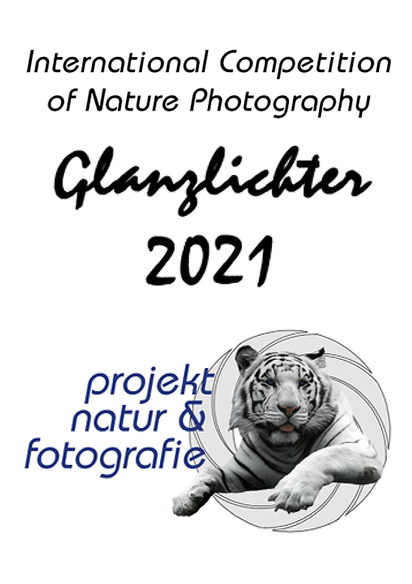 glanzlichter 2021 competition