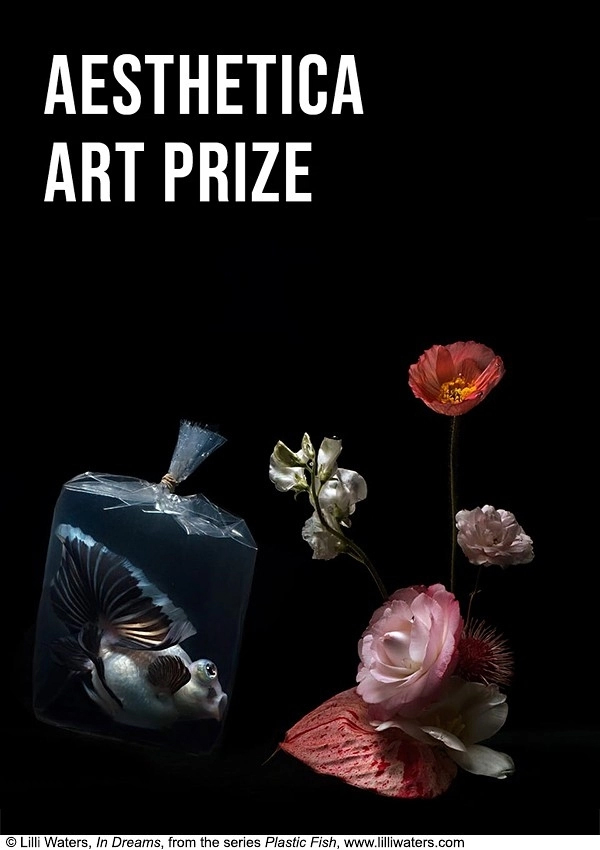 فراخوان جایزه هنری 2022 Aesthetica