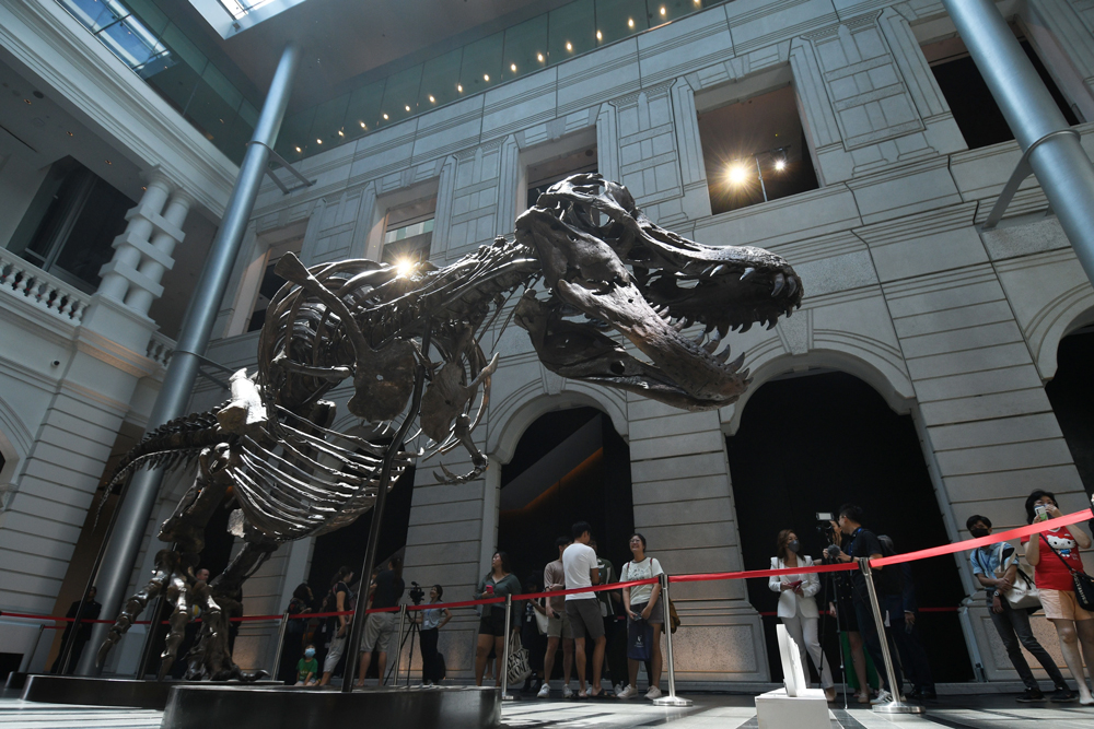 Christie`s Cancels Sale of $15 M.–$20 M. T-Rex Over Concerns About Number of Replica Bones
