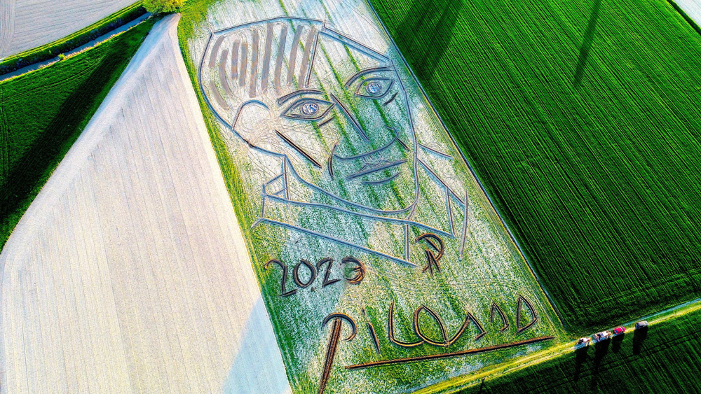 Italian Land Artist Creates "World`s Largest" Picasso Portrait