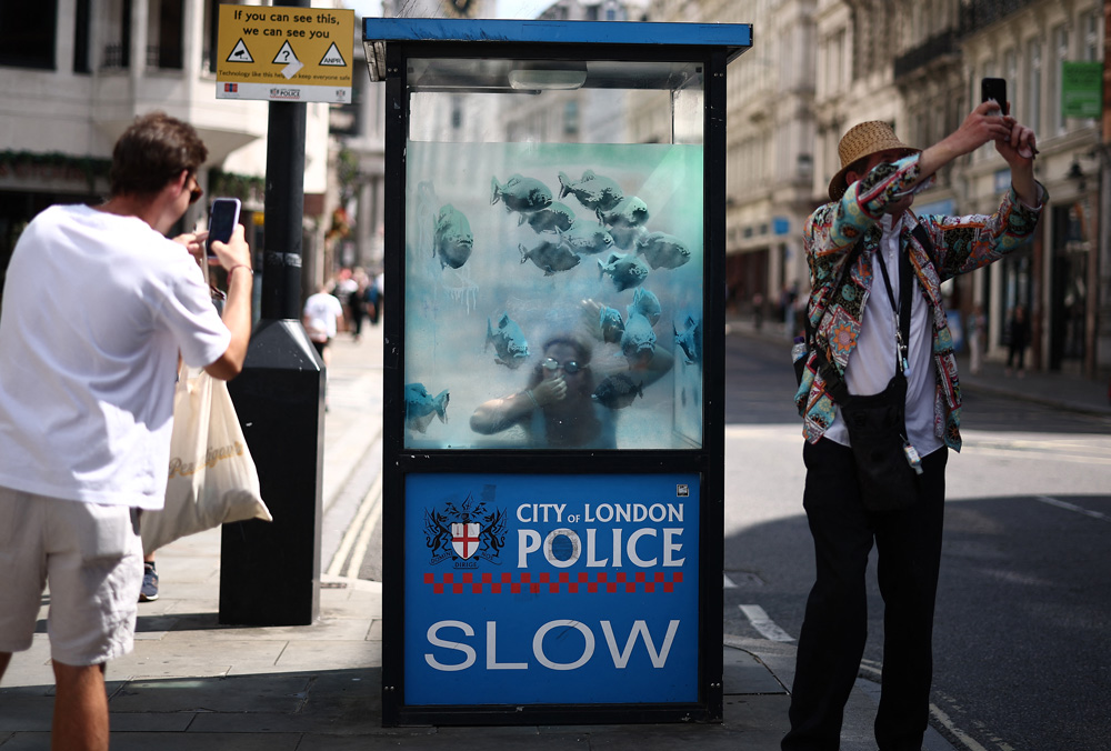 Seventh Banksy Animal Mural to Appear in London in the Last Week Makes a Police Box Look Like a Fish Tank