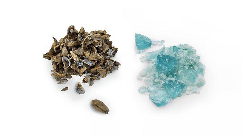 students use invasive species of mussels to create beautiful blue glass