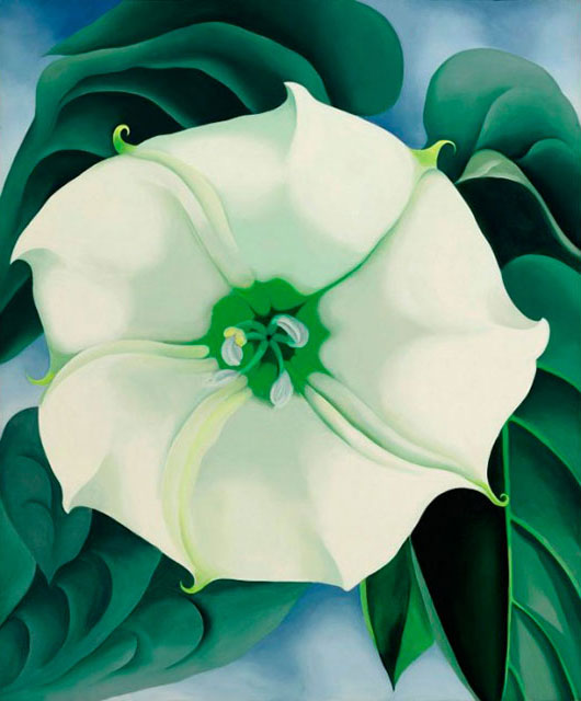 نمایش مجموعه گل های جورجیا اوکیف در تیت مدرن