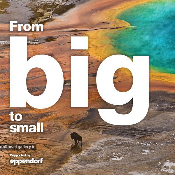 فراخوان مسابقه ی عکس زیست شناسی " از بزرگ تا کوچک "