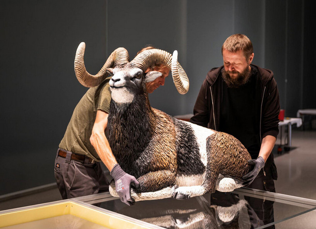 formafantasma`s "oltre terra. why wool matters" explores co-evolution of sheep & humanity