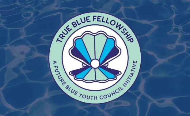 فراخوان هنری Fellowship Bo True Blue