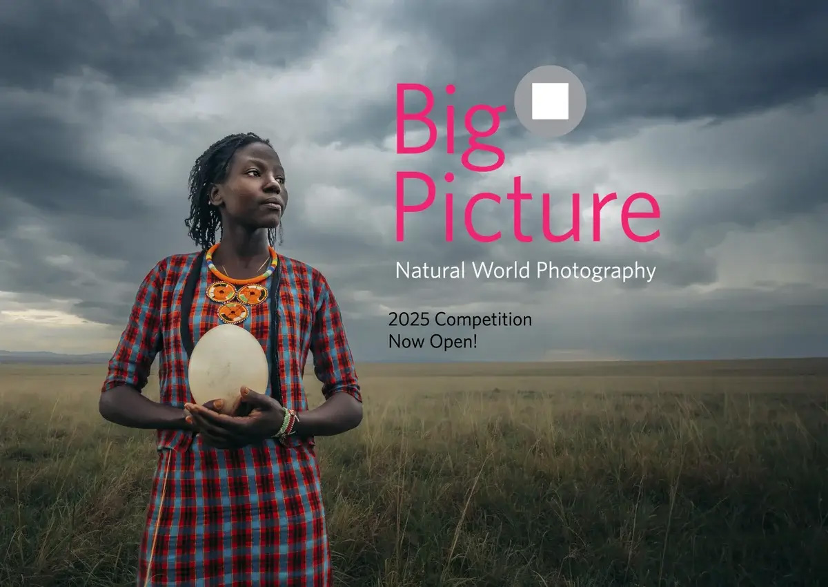 2025 BigPicture Natural World Photography Competition